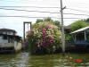 Bangkok04-128.jpg (63732 bytes)