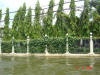 Bangkok04-143.jpg (90222 bytes)