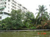 Bangkok04-150.jpg (75550 bytes)