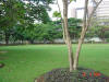 Bangkok04-206.jpg (79518 bytes)