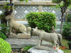 Bangkok04-33.jpg (87044 bytes)
