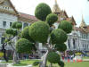 Bangkok04-89.jpg (79866 bytes)