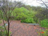 2004-05-03-P10-DD-047.jpg (98741 bytes)