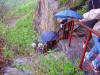 2004-05-03-P10-DD-066.jpg (95864 bytes)