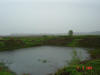 2004-05-03-P10-DD-122.jpg (28746 bytes)