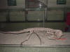 2004-01-HB-070.jpg (44102 bytes)