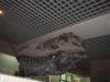 2004-01-HB-071.jpg (54001 bytes)