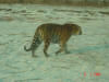 2004-01-HB-144.jpg (40800 bytes)