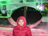 2004-01-HB-155.jpg (49251 bytes)