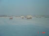 2004-01-HB-185.jpg (15742 bytes)