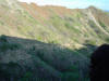 2003-12-27-HI-071.jpg (56827 bytes)