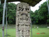 2006-07-17-HO-020.jpg (88565 bytes)