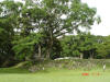 2006-07-17-HO-039.jpg (103907 bytes)