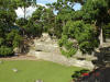 2006-07-17-HO-099.jpg (107339 bytes)