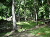 2006-07-17-HO-112.jpg (115871 bytes)