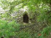 2006-07-17-HO-119.jpg (117884 bytes)