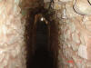 2006-07-17-HO-124.jpg (65553 bytes)