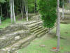 2006-07-17-HO-146.jpg (107831 bytes)