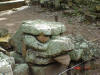 2006-07-17-HO-171.jpg (98267 bytes)