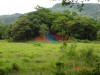 2006-07-17-HO-201.jpg (77403 bytes)