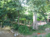 2006-07-17-HO-254.jpg (112319 bytes)