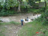 2006-07-17-HO-256.jpg (102972 bytes)