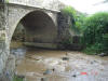 2006-07-17-HO-257.jpg (84879 bytes)