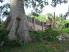 2006-07-17-HO-261.jpg (96579 bytes)