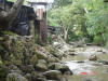 2006-07-17-HO-267.jpg (106741 bytes)