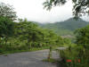 2006-07-18-HO-11.jpg (84784 bytes)