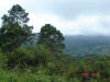 2006-07-18-HO-20.jpg (68398 bytes)
