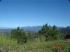 2007-12-15-HO-002.jpg (59452 bytes)