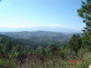 2007-12-15-HO-030.jpg (66754 bytes)