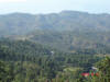 2007-12-15-HO-031.jpg (62301 bytes)
