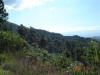 2007-12-15-HO-034.jpg (75371 bytes)