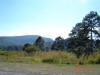 2007-12-15-HO-051.jpg (56491 bytes)