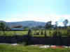 2007-12-15-HO-052.jpg (53046 bytes)