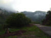 2009-05-24-HO-07.jpg (34813 bytes)