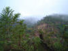 2009-05-24-HO-09.jpg (59990 bytes)