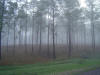 2009-05-24-HO-13.jpg (54981 bytes)