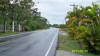 2011-03-20-HO-017.jpg (68284 bytes)