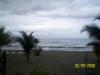 2011-03-20-HO-043.jpg (53446 bytes)