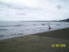 2011-03-20-HO-045.jpg (49675 bytes)