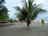 2011-03-20-HO-065.jpg (72904 bytes)