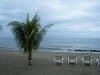 2011-03-20-HO-066.jpg (45915 bytes)