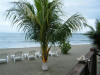 2011-03-20-HO-069.jpg (78398 bytes)