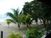 2011-03-20-HO-075.jpg (70570 bytes)