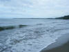 2011-03-20-HO-077.jpg (45047 bytes)