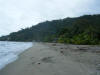 2011-03-20-HO-080.jpg (41149 bytes)