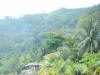 2011-03-20-HO-083.jpg (58787 bytes)
